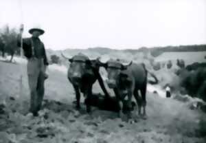 photo Exposition Mémoire : vie autrefois et objets anciens