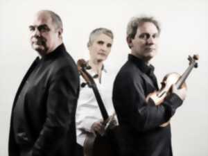 photo Concert - Amicalement vôtre : Trios de Beethoven