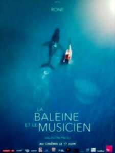 photo Ciné Rencontre - La Baleine et le musicien