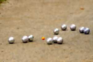 photo Concours de pétanque