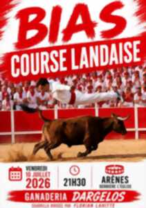 photo Dans le cadre des fêtes locales : Course landaise