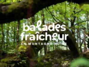 photo BALADES FRAICHEUR - SENTIER DES GLACIÈRES
