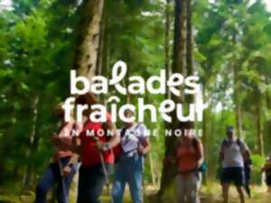 photo BALADES FRAICHEUR - HAMEAU DE CALS