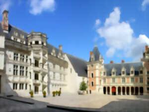 photo “Fol'été ô château”