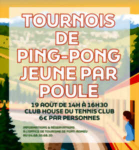 photo TOURNOI DE PING-PONG JEUNES PAR POULES - MERCREDI 19 AOÛT