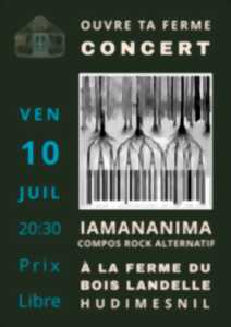 photo Iamananima en concert