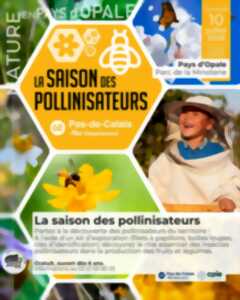 photo La saison des pollinisateurs