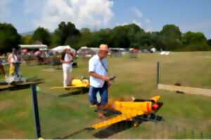 photo Show aérien de l'aéroclub