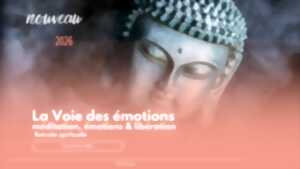 photo La Voie des Emotions : méditation, émotions et libération