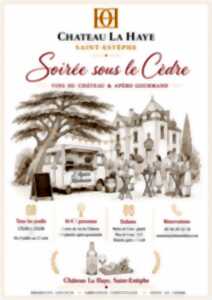 photo Soirée sous le cèdre