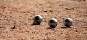photo CONCOURS DE PÉTANQUE