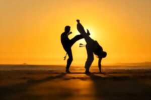 photo INITIATION À LA CAPOEIRA