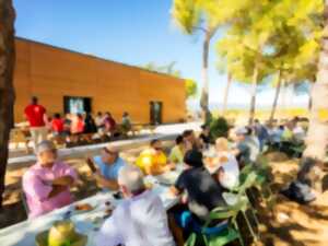 photo BALADES VIGNERONNES EN GRAND CARCASSONNE - DOMAINE DES HOMS