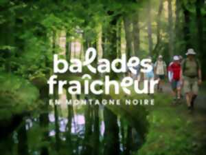 photo BALADES FRAÎCHEUR - LAC DE PICAREL