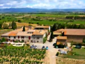 photo BALADES VIGNERONNES EN GRAND CARCASSONNE - DOMAINE DES HOMS
