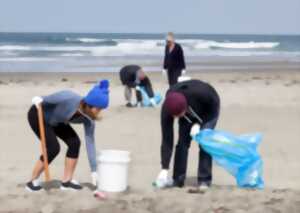 photo Familles solidaires : Nettoyage de plage et jeux