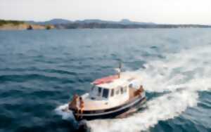 photo Balade en bateau : sortie sunset Baiona Marine
