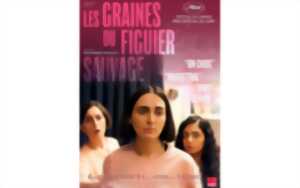 photo Un été au ciné - Les graines du figuier sauvage (VOSTFR)