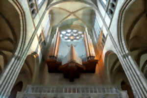 photo L'Heure Musicale de la cathédrale de Limoges - Concerts d'orgue