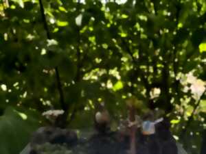 photo Atelier enfant 3-6 ans : Mini-jardin