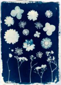 photo ATELIER CYANOTYPE