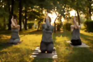 photo Matinée Zen • Matinée Wutao & Yin Yoga
