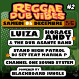 photo Concert - Reggae Dub Vibes