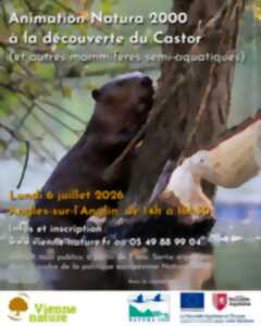 photo Animation Natura 2000 à la découverte du Castor (et autres mammifères semi-aquatiques)