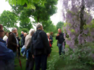 photo Visite guidée - Arboretum de la Petite Loiterie