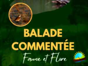 photo BALADE COMMENTÉE, FAUNE ET FLORE