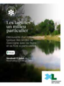 photo Les lagunes : un milieu particulier