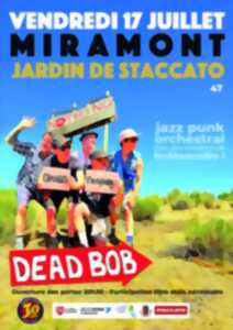 photo Concert Staccato - dead bob