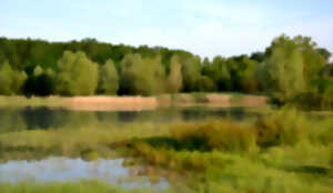 photo Visite de la Réserve Naturelle de l'Étang de la Mazière