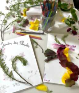 photo Herbier créatif