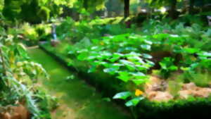 photo Formation jardinage et permaculture