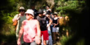 photo Immersion sonore en forêt