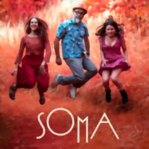 photo Concert de SOMA