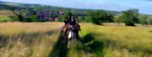 photo Expériences Mossig & Vignoble : Balade à cheval