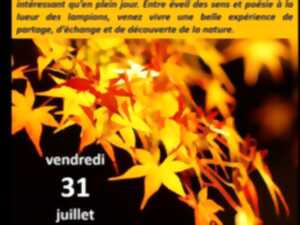 photo Un soir aux jardins oubliés