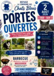 photo La compagnie des chats bleus : Portes ouvertes