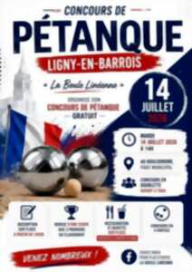 photo Concours de pétanque