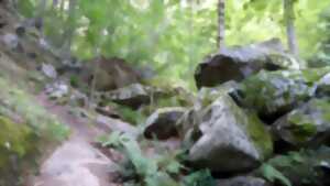 photo RANDO ACCOMPAGNEE : BOUCLE DE L'ABBAYE SAINT-MARTIN DU CANIGOU
