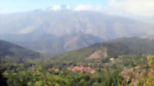 photo RANDO ACCOMPAGNEE : BOUCLE FORESTIERE VERS LE BALCON DU COGULLO