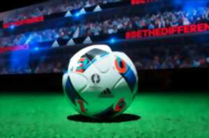 photo Diffusion de la finale de la Coupe du monde
