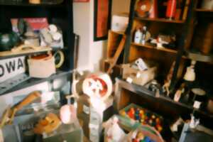 photo Vide grenier du comice agricole de Palazinges