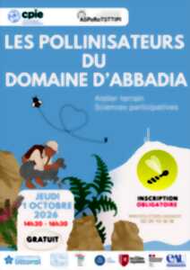 photo A la découverte des pollinisateurs du domaine d'Abbadia