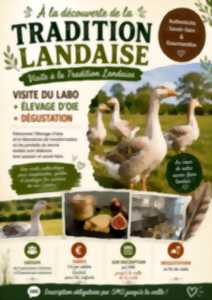 photo À la découverte de la Tradition Landaise