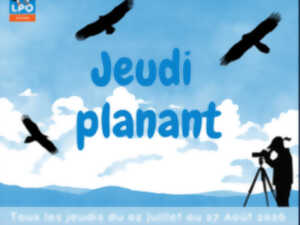 photo JEUDI PLANANT