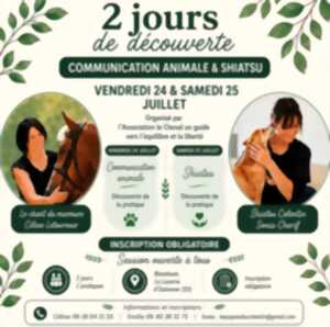 photo 2 jours de découverte communication animale & Shiatsu