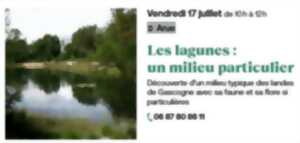 photo Les lagunes : un milieu particulier